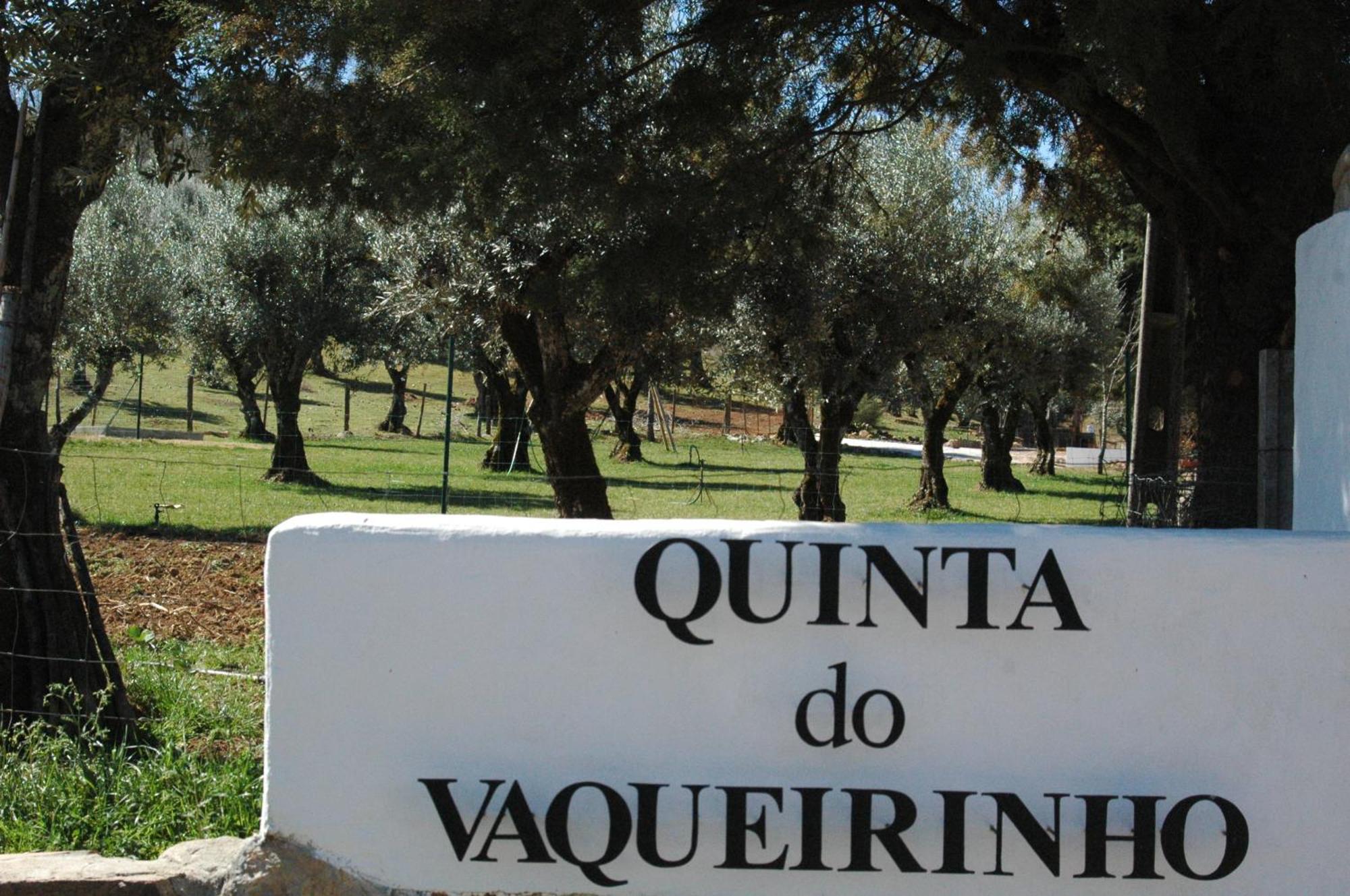 הוילה Marvão Quinta Do Vaqueirinho - Agro-Turismo מראה חיצוני תמונה