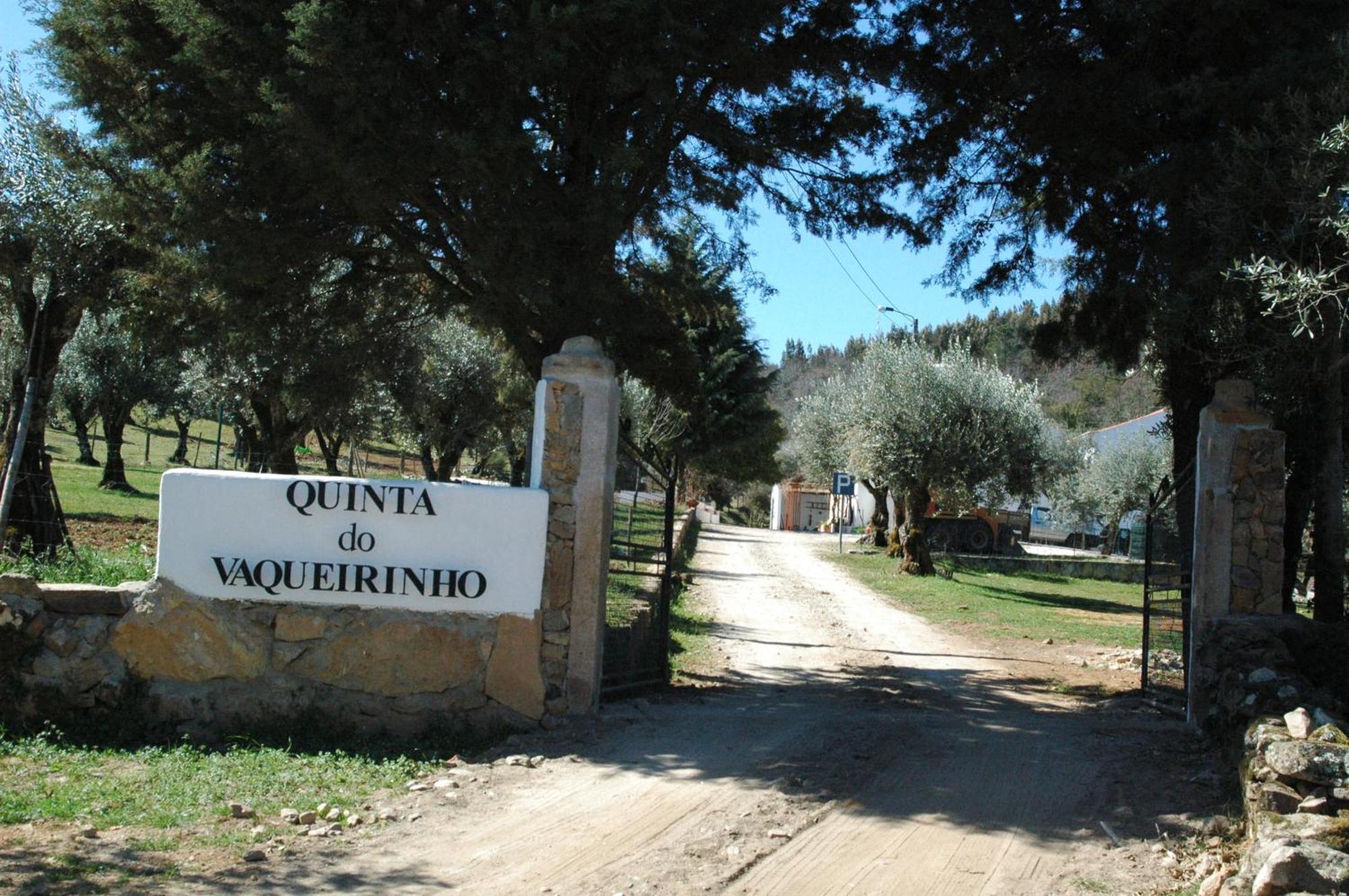 הוילה Marvão Quinta Do Vaqueirinho - Agro-Turismo מראה חיצוני תמונה