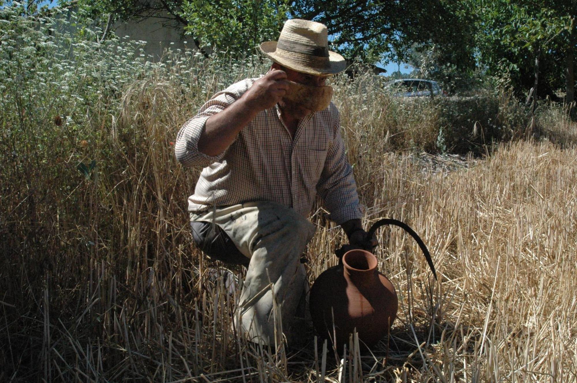 הוילה Marvão Quinta Do Vaqueirinho - Agro-Turismo מראה חיצוני תמונה